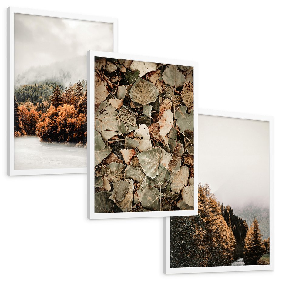 Zestaw obrazy w ramie, plakaty - jesień, las, liście - rama biała
