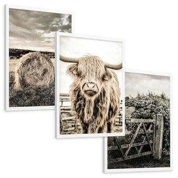 Zestaw obrazy w ramie, plakaty - wieś, zwierzęta, krajobraz - rama biała