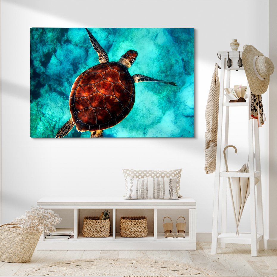 Obraz na płótnie - żółw morski, pod wodą, ocean