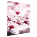 Obraz na płótnie - kwiat, wiosna, delikatność