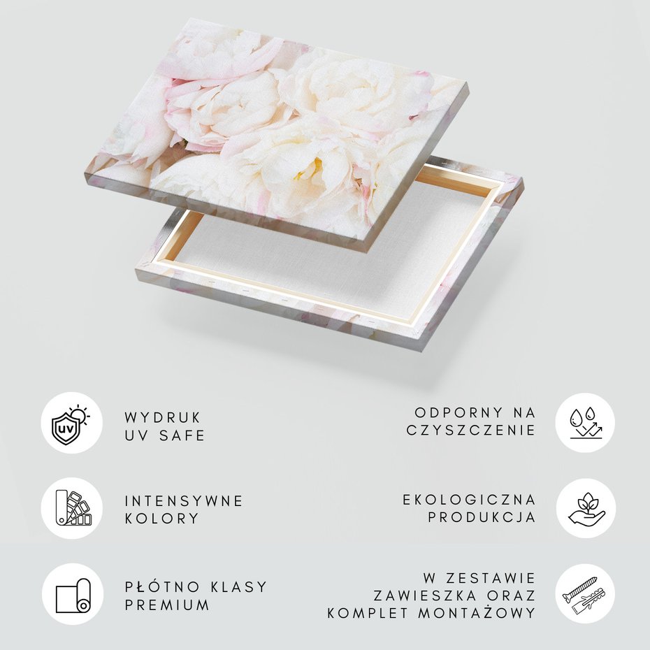 Obraz na płótnie - piwonie, kwiaty, delikatne