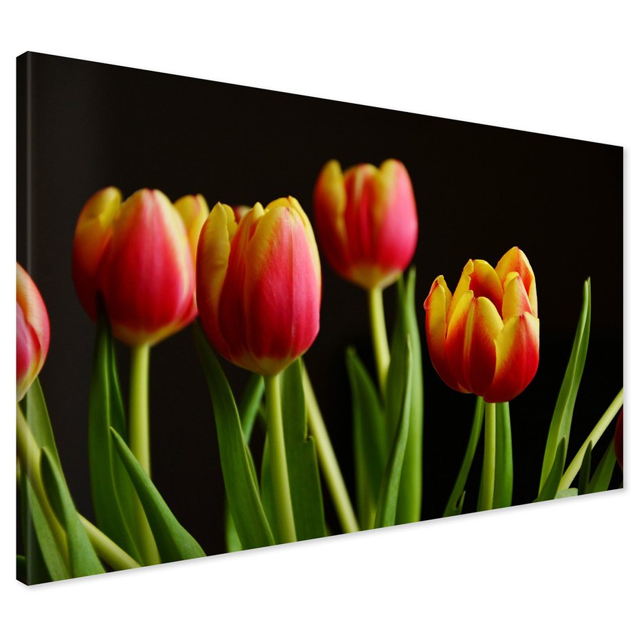 Obraz na płótnie - tulipany, kwiaty, czerwony