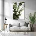 Obraz na płótnie - eukaliptus, liście, roślina