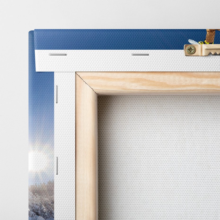 Obraz na płótnie - snowboard, zima, śnieg