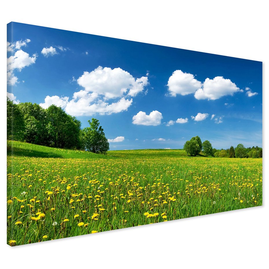 Obraz na płótnie - łąka, kwiaty, lato