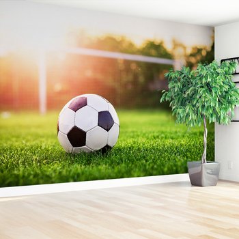 Fototapeta - piłka, trawa, sport