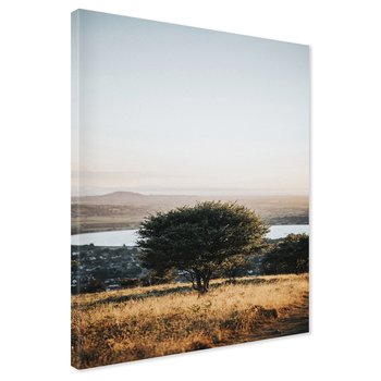 Obraz na płótnie - drzewo, krajobraz, natura