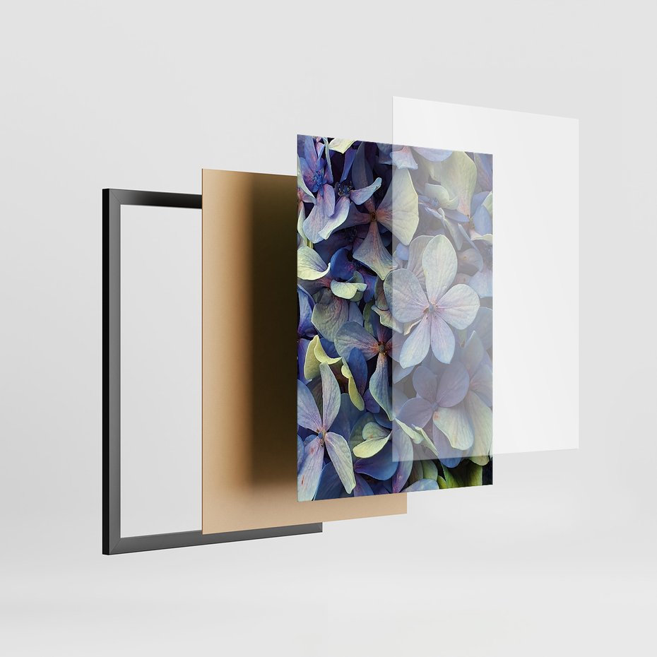 Zestaw obrazy w ramie, plakaty - kwiaty, hortensje, suszone kwiaty - rama czarna