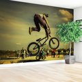 Fototapeta - bmx, rower, trik