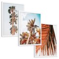 Zestaw obrazy w ramie, plakaty - palmy, tropikalny, lato - rama biała