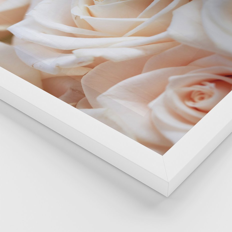 Zestaw obrazy w ramie, plakaty - kwiaty, róże, pastelowe - rama biała
