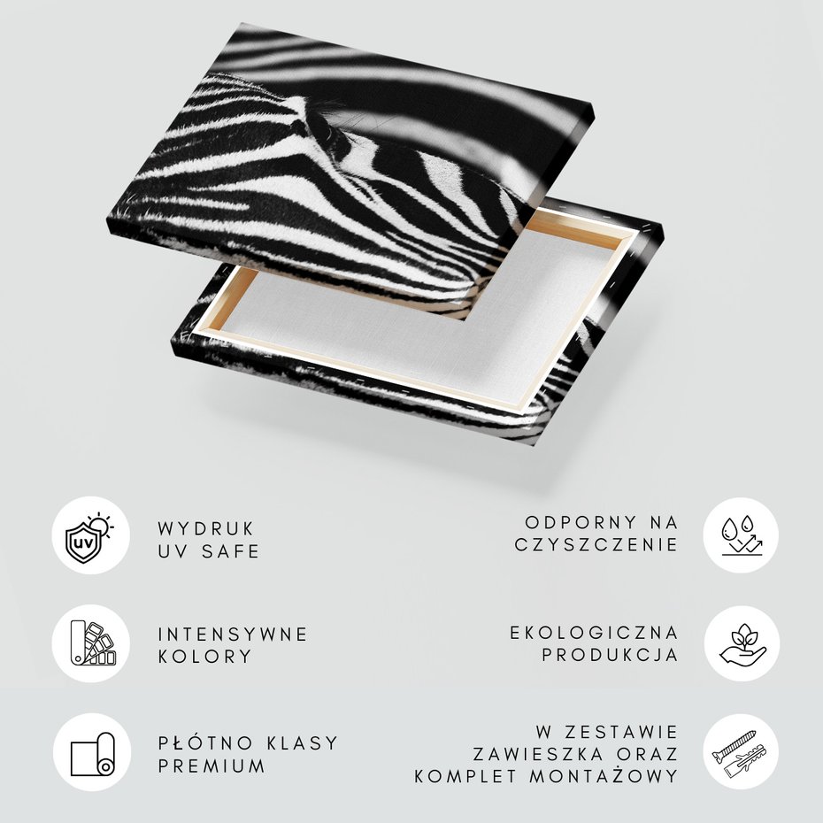 Obraz na płótnie - zebra, zwierzę, paski