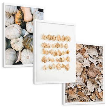 Zestaw obrazy w ramie, plakaty - dynie, liście, jesień - rama biała