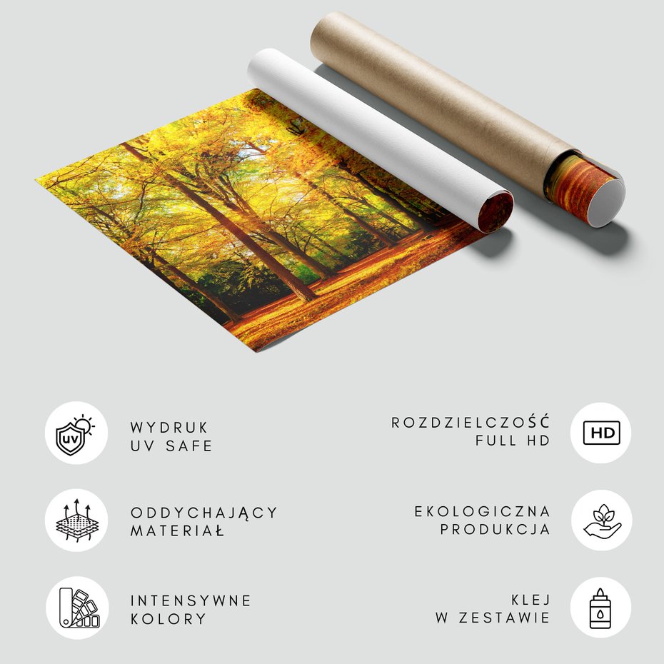 Fototapeta - las, jesień, słońce