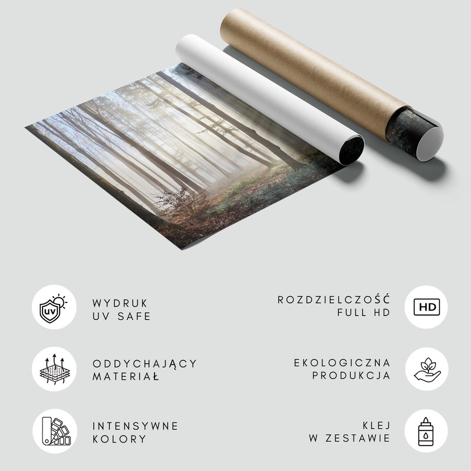 Fototapeta - las, mgła, drzewa