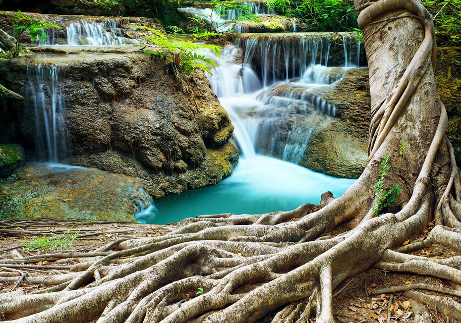 Fototapeta - wodospad, natura, drzewo