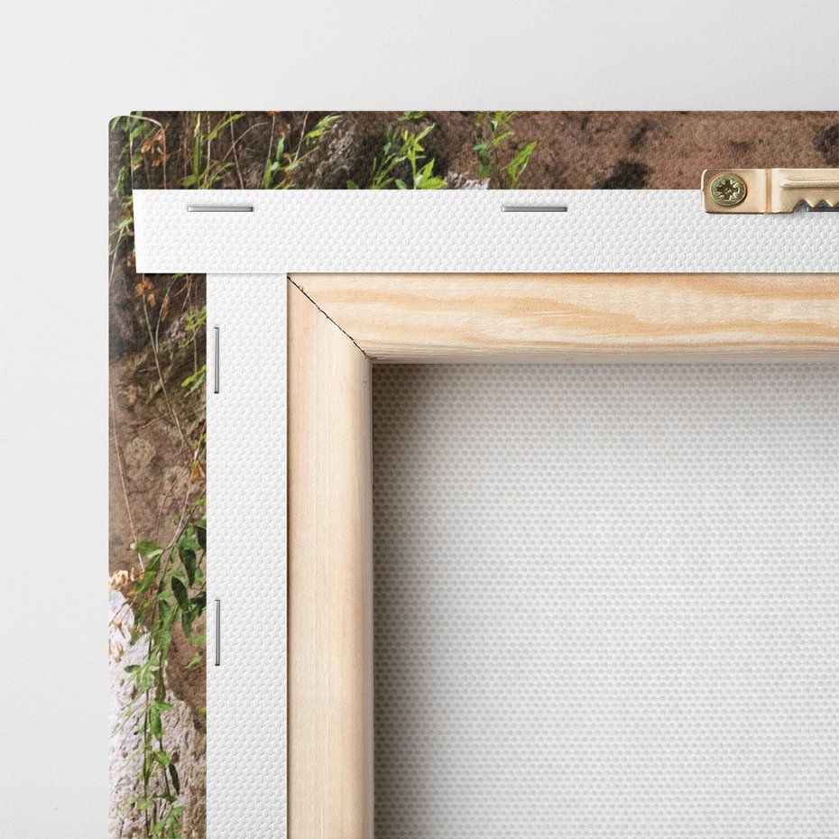 Obraz na płótnie - uliczka, rośliny, łuki