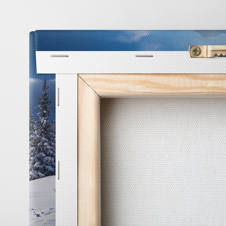 Obraz na płótnie - zima, śnieg, las