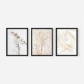 Zestaw obrazy w ramie, plakaty - kwiaty, gałązki, minimalizm - rama czarna