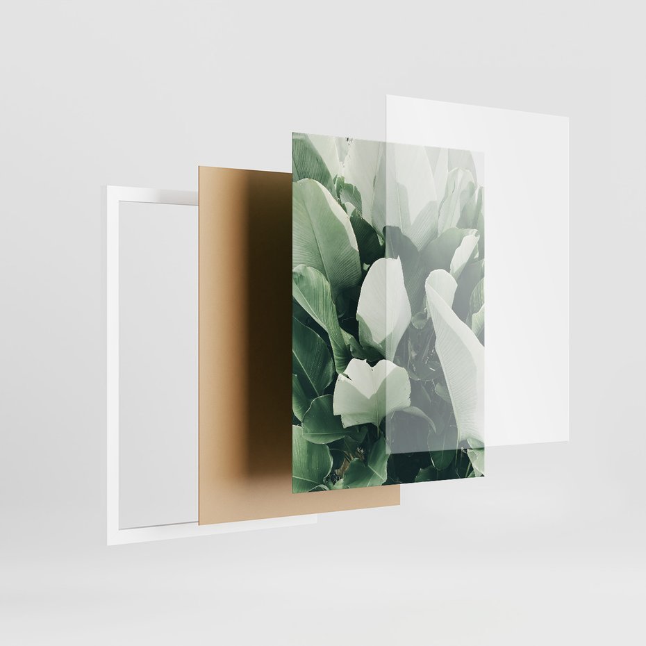 Zestaw obrazy w ramie, plakaty - liście, tropikalne, roślina - rama biała