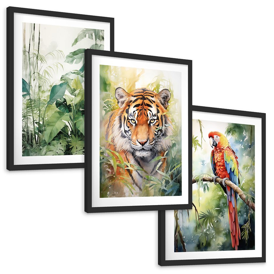 Zestaw obrazy w ramie, plakaty - papuga, liście, tygrys - rama czarna