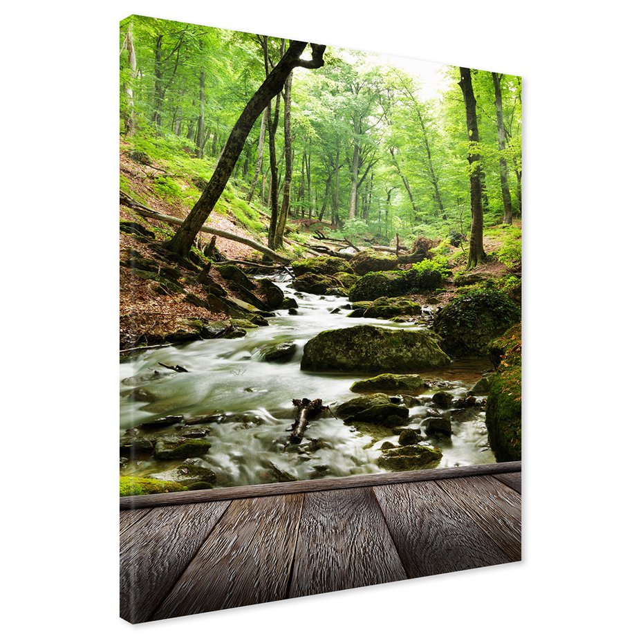 Obraz na płótnie - las, strumień, drzewa