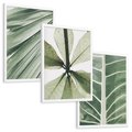 Zestaw obrazy w ramie, plakaty - liście, tropikalne, zielone - rama biała