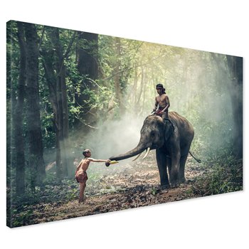 Obraz na płótnie - słoń, chłopiec, las