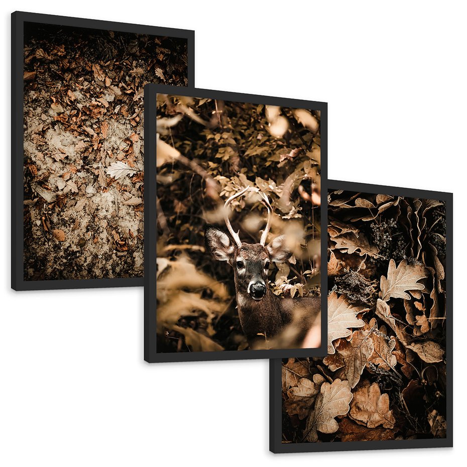 Zestaw obrazy w ramie, plakaty - liście,jeleń,las - rama czarna