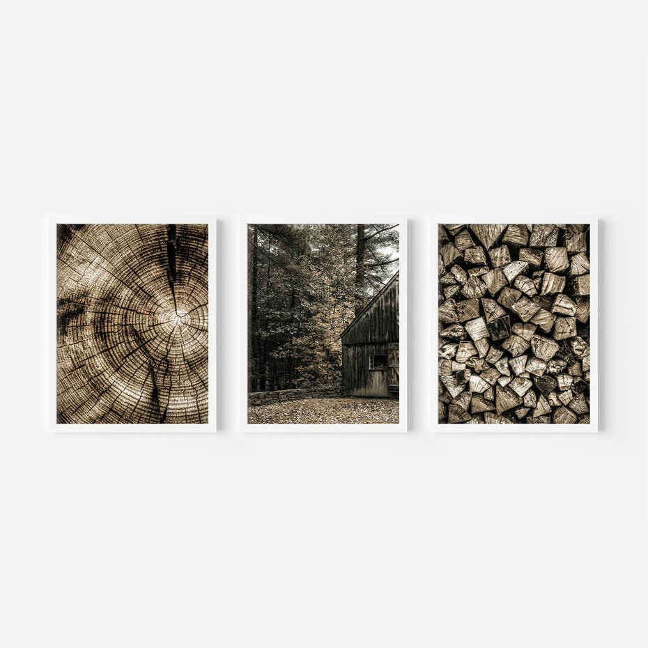 Zestaw obrazy w ramie, plakaty - drewno, kora, natura - rama biała