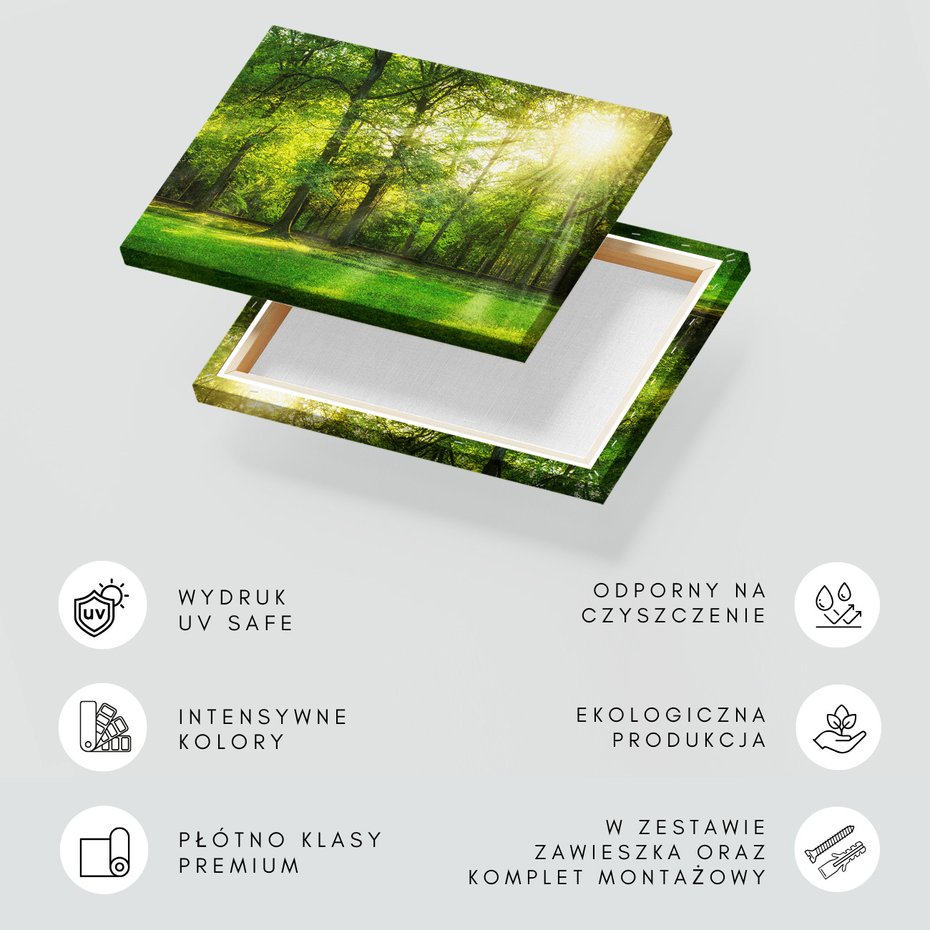 Obraz na płótnie - las, drzewa, natura