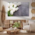 Obraz na płótnie - tulipany, kwiaty, białe