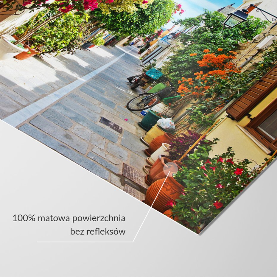 Fototapeta - ulica, kwiaty, miasto