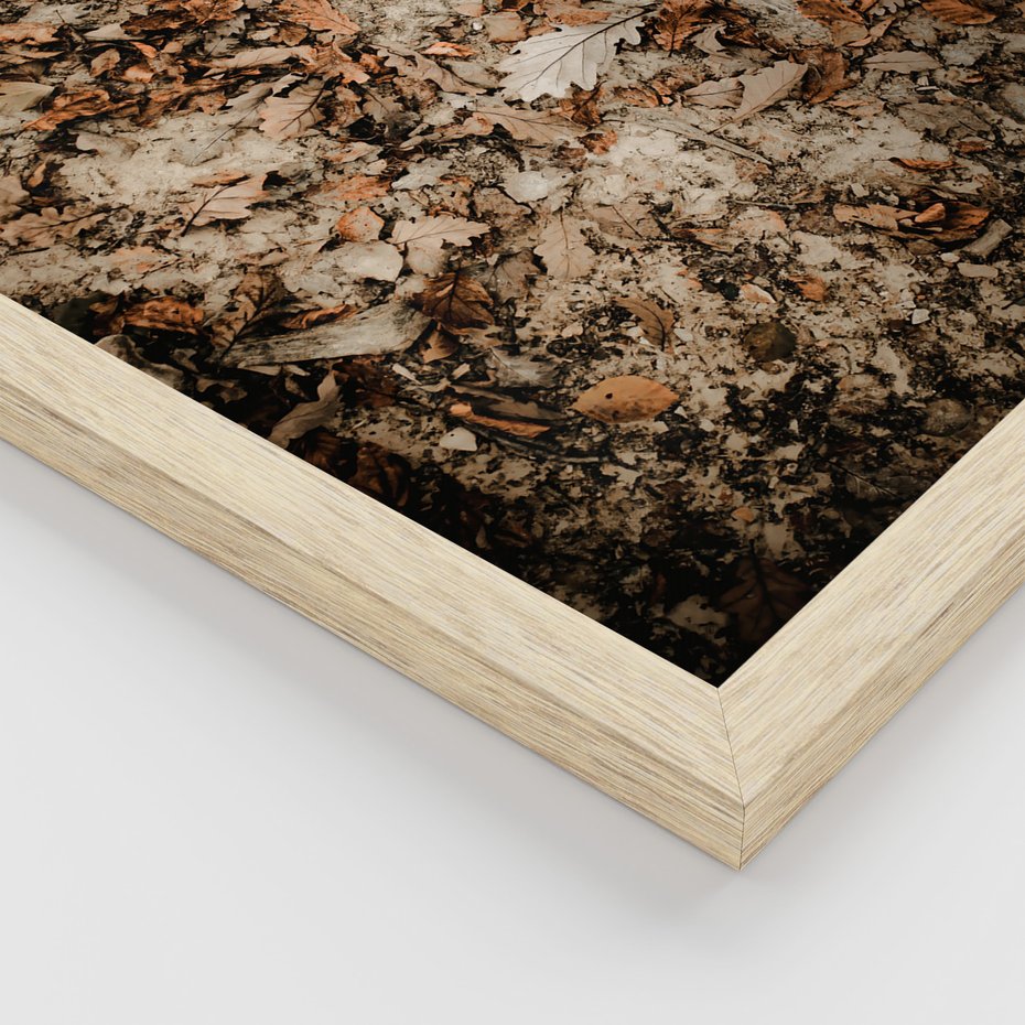 Zestaw obrazy w ramie, plakaty - liście,jeleń,las - rama drewno