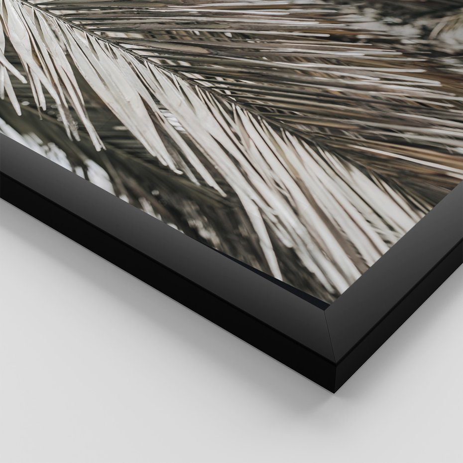 Zestaw obrazy w ramie, plakaty - liście, palmy, napisy - rama czarna