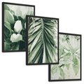 Zestaw obrazy w ramie, plakaty - liście, tropikalne, roślina - rama czarna