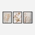 Zestaw obrazy w ramie, plakaty - kwiaty,rośliny,suszone, - rama czarna
