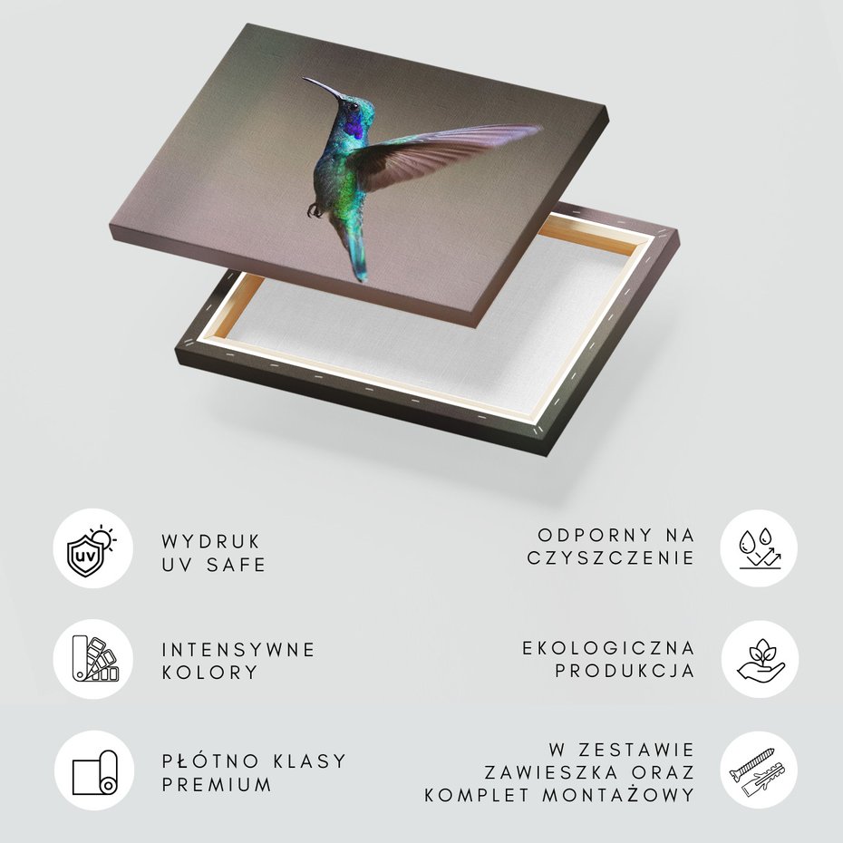 Obraz na płótnie - Koliber, Ptak, Natura