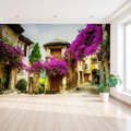 Fototapeta - uliczka, kwiaty, budynki