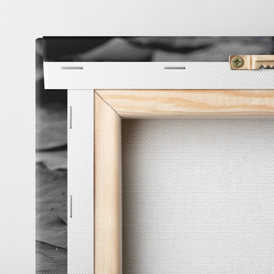 Obraz na płótnie - kwiat, lilia wodna, staw