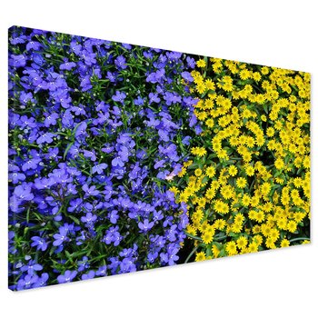 Obraz na płótnie - kwiaty, rośliny, natura