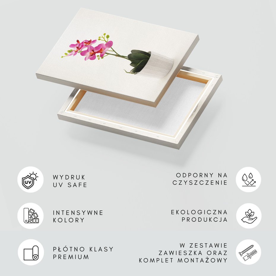 Obraz na płótnie - kwiat, doniczka, roślina