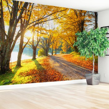 Fototapeta - jesień, liście, drzewa