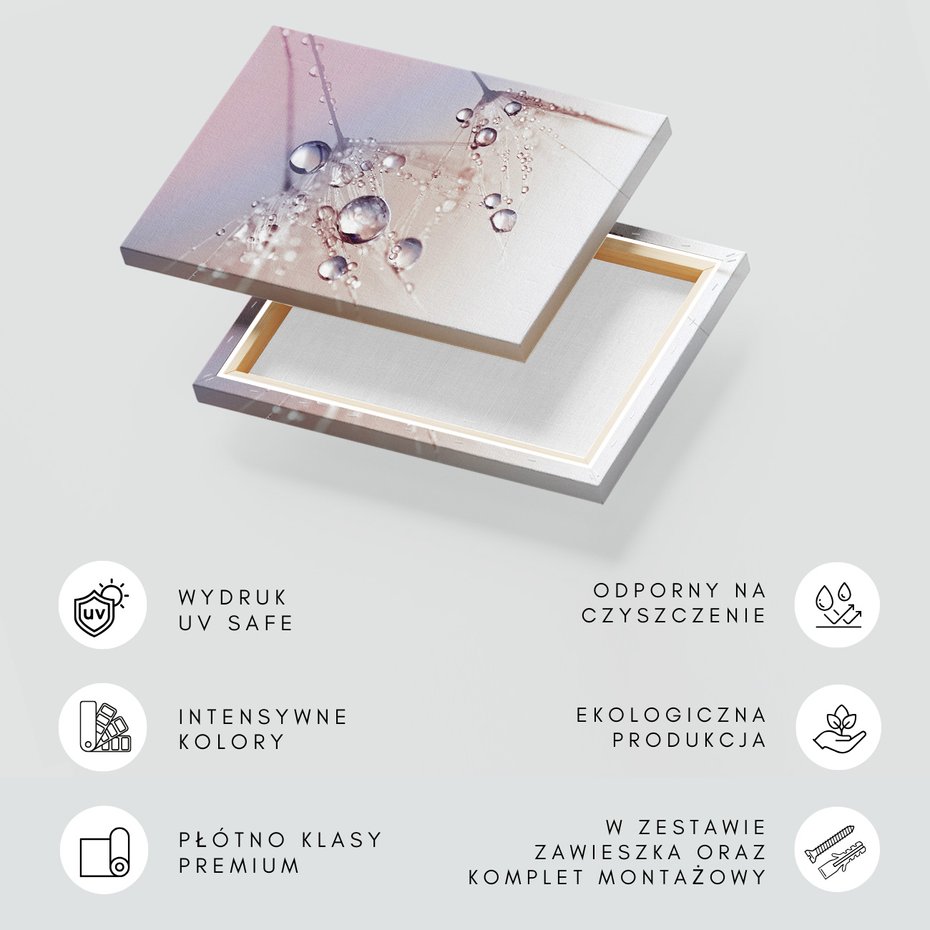 Obraz na płótnie - krople, rosa, natura