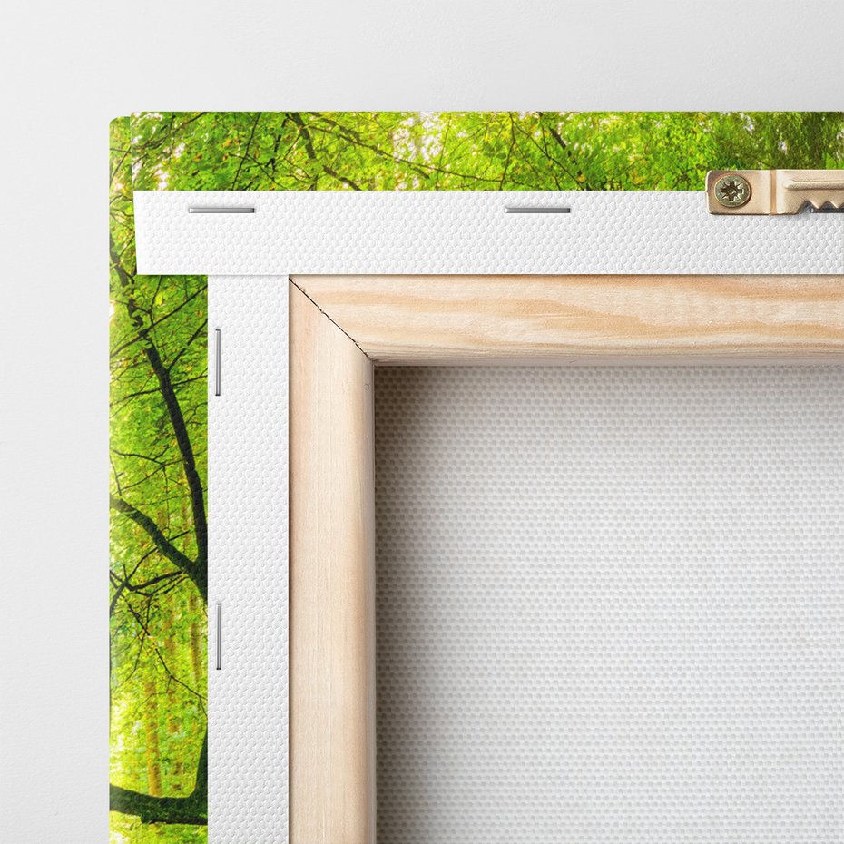 Obraz na płótnie - las, drzewa, przyroda