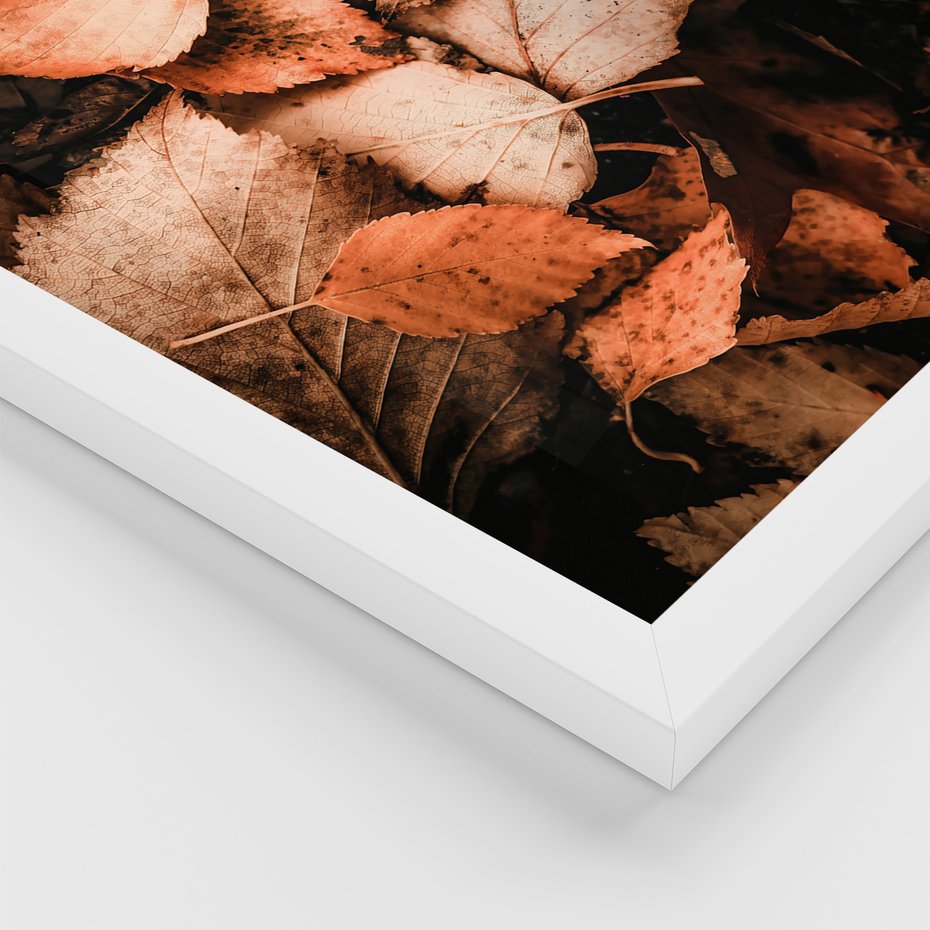 Zestaw obrazy w ramie, plakaty - jesień, liście, las - rama biała