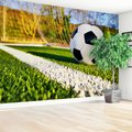 Fototapeta - piłka, boisko, sport