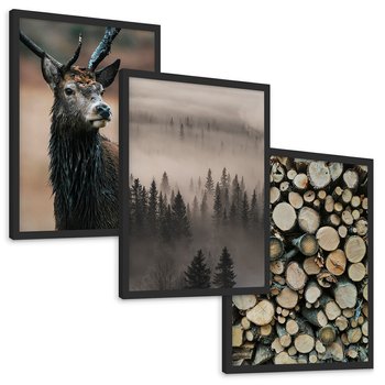Zestaw obrazy w ramie, plakaty - las, drewno, natura - rama czarna