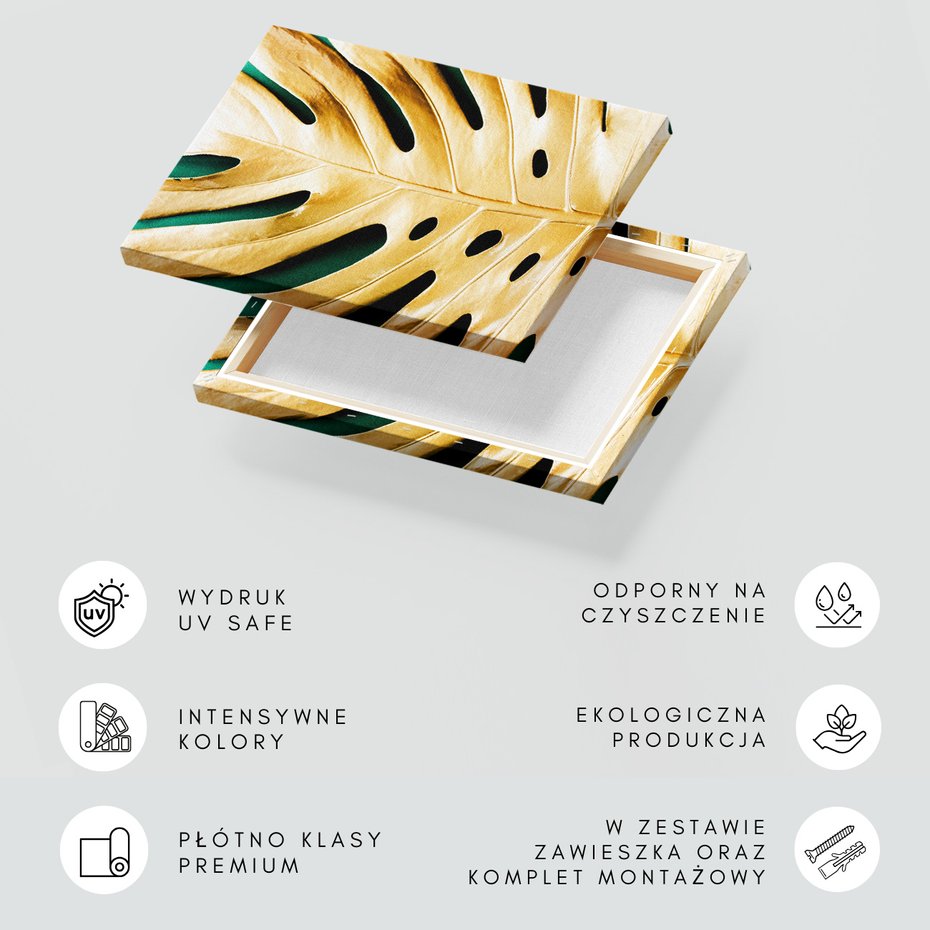 Obraz na płótnie - liść, złoto, monstera