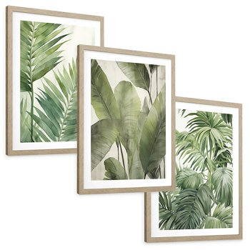 Zestaw obrazy w ramie, plakaty - liście, tropikalny, rośliny - rama drewno